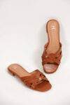 Camel Chappal-439032929