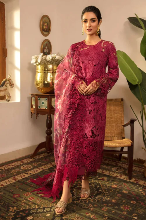 Rang Rasiya Red Lawn HR-24