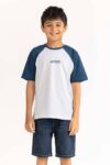 junior_boy_multi_t-shirt_231-313-031_6_
