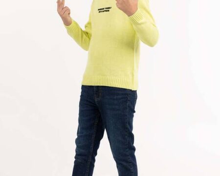 Toddler Boy Sunny Lime Sweater 224-511-036