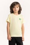 Toddler Boy White T-Shirt 231-513-011