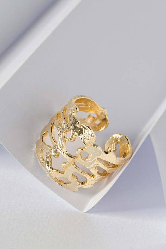 aria ring ifa rn 001 1