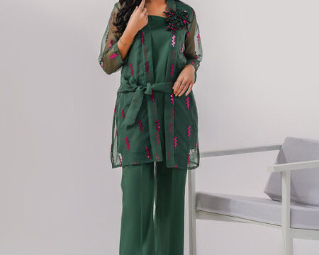 2 Piece Organza Suit-Embroidered (Pret)