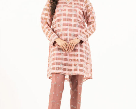 3 Piece Organza Suit-Embroidered (Pret)