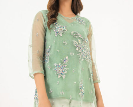 Organza Top With Slip-Embroidered