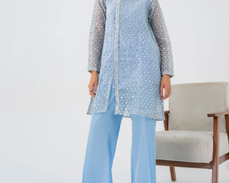 2 Piece Organza Suit-Embroidered (Pret)