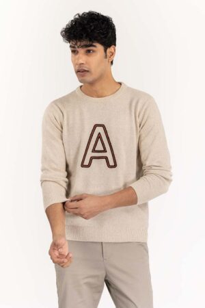 beige crew neck sweater with embroidery swt ffscn22 219 5