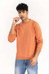 rust_basic_crew_neck_sweater_swt-bfscn-22-010_5_