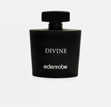 Divine Men's Perfume 100ML