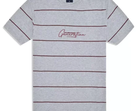 Heather Grey Stripe Crew Neck T-shirt