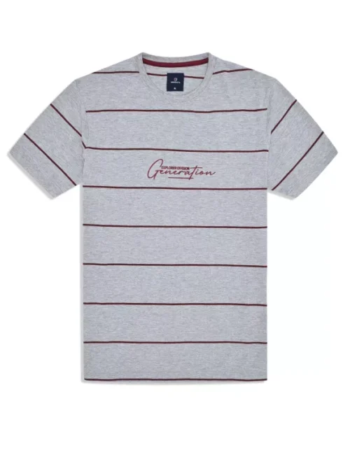 Heather Grey Stripe Crew Neck T-shirt