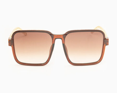 Loop Temple Sunglasses