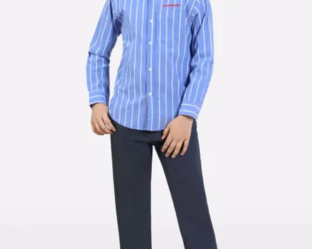 Light Blue Stripes Casual Shirt