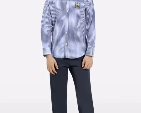 Blue Bengal Stripes Casual Shirt