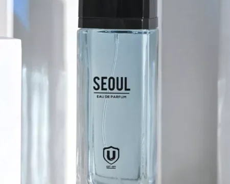 Seoul Perfume (100-ML)