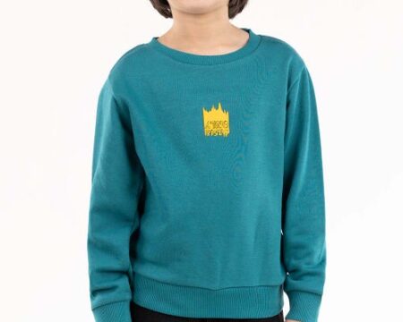 Toddler Boy Blue Sweatshirt 224-512-008