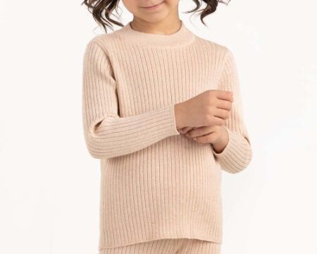 Toddler Girl Brown Ribbed Sweater With Turtle Neck 224-616-303