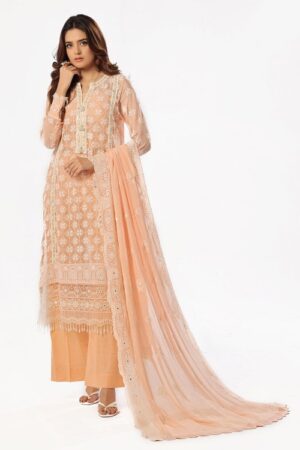 embroidered chiffon dupatta embroidered chiffon back on organza dyed chiffon gulahmed le 52024 full 4