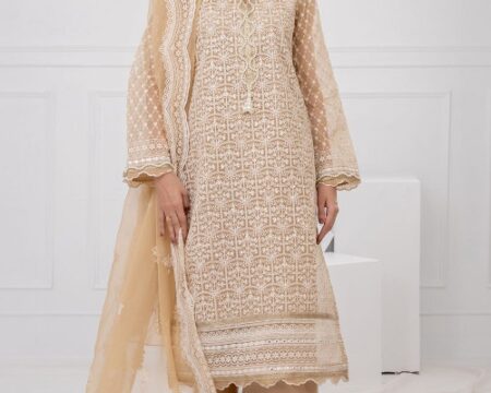 3 Piece Unstitched Embroidered Organza Suit with Embroidered Organza Dupatta FE-52087