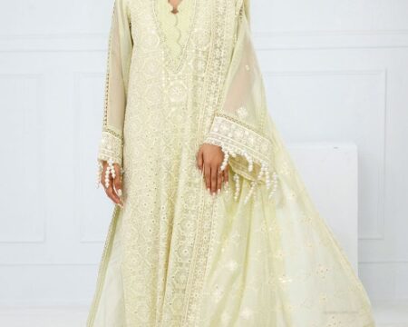 3 Piece Unstitched Embroidered Paper Cotton Suit with Embroidered Paper Cotton Dupatta FE-52089