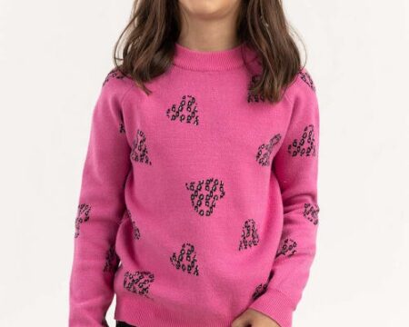 Junior Girl Pink Jacquard Sweater With Round Neck 224-411-002