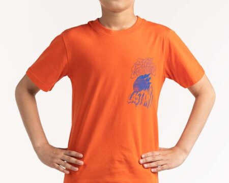 Junior Boy Red T-Shirt 231-313-009