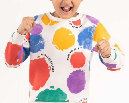 Toddler Boy Multi Sweatshirt 224-512-003