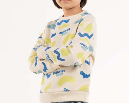 Toddler Boy Multi Sweatshirt 224-512-066