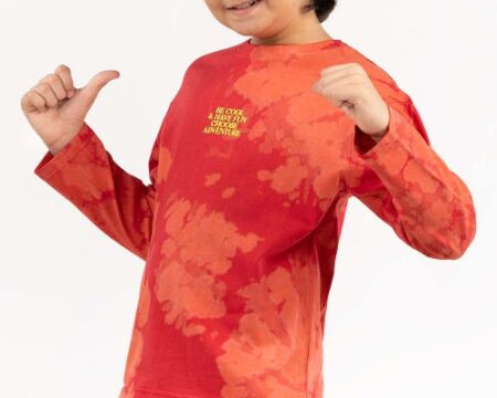 Toddler Boy Multi T-Shirt 224-513-028