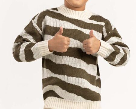 Toddler Boy Off-White And Brown Knit Sweater 224-511-023