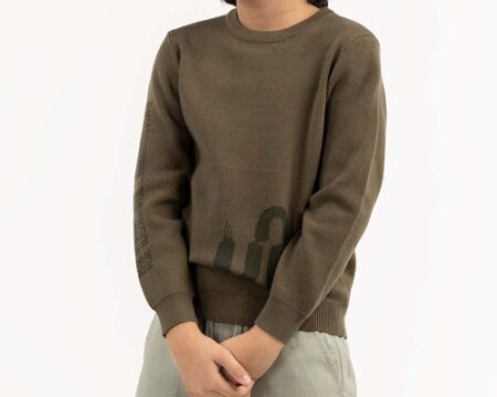 Junior Boy Olive Green Sweater 224 -311-027