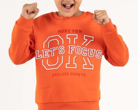 Toddler Boy Orange Sweatshirt 224-512-010