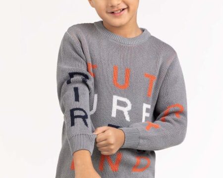 Toddler Boy Grey Knitted Sweater 224-511-043