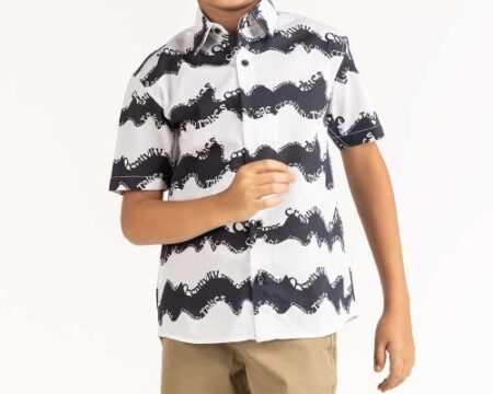 Toddler Boy Multi Printed Casual Shirt TB-CS-SS23-004