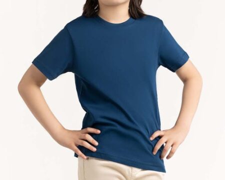 Toddler Boy Blue T-Shirt 231-513-001 D